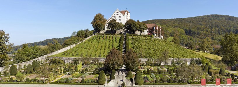 Schlossdomäne Wildegg mit Garten Blickwinkel von unten