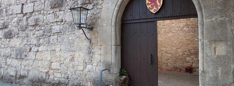 Schlosstor Eingang aus Holz mit Wappen Schloss Habsburg