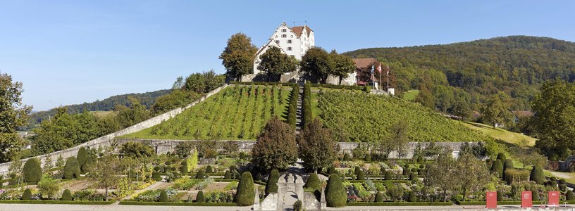 Schlossdomäne Wildegg mit Garten Blickwinkel von unten