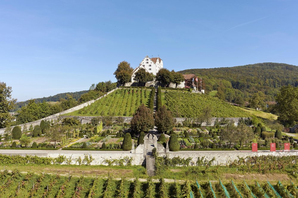 Schlossdomäne Wildegg mit Garten Blickwinkel von unten