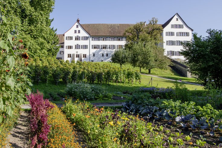 Nutzgarten des Konventgartens auf der Klosterhalbinsel Wettingen, im Hintergrund das Kloster Wettingen.