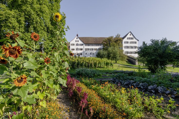 Nutzgarten des Konventgartens auf der Klosterhalbinsel Wettingen, im Hintergrund das Kloster Wettingen.