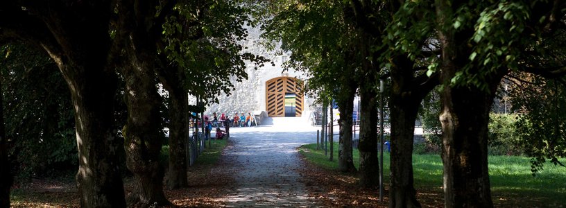 Die zum Schlosstor führende Allee auf Schloss Hallwyl