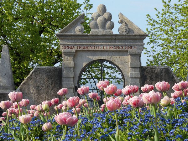 Foto von Gartenportal Schloss Wildegg. Blumen im Vordergrund zu sehen.