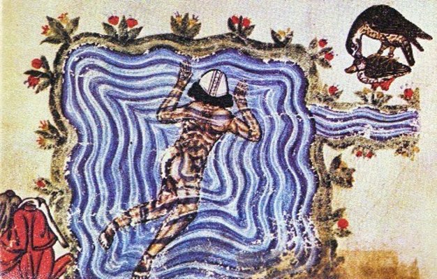 Abbildung einer Übungseinheit im Falkenbuch, bei welcher der Falkner in einem Teich zu schwimmen scheint.