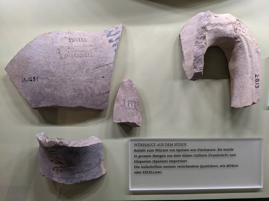 Es ist ein Foto von zerbrochenen garum-Amphoren zu sehen. Das Foto wurde im Vindonissa Museum Brugg gemacht.
