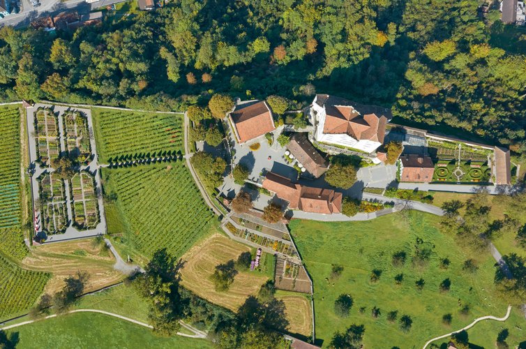 Fotografie aus der Luft. Man sieht das Schloss Wildegg samt Umschwung von oben.