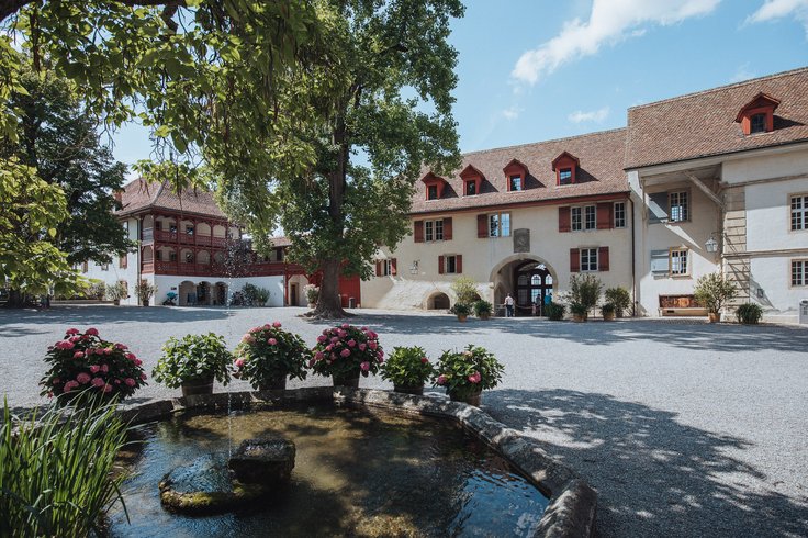 Brunnen bedeckt vom Baumschatten im Schlosshof Lenzburg