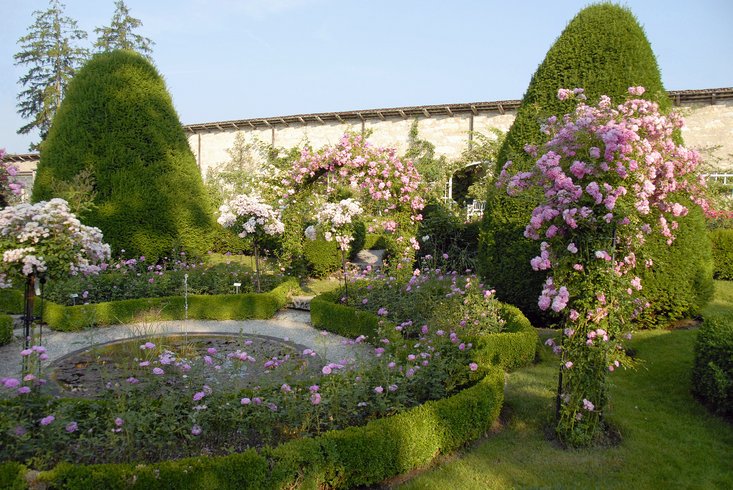 Aufnahme Rosengarten auf Schloss Wildegg