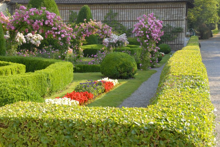 Rosengarten auf Schloss Wildegg mit zurechtgeschnittenem Gebüsch