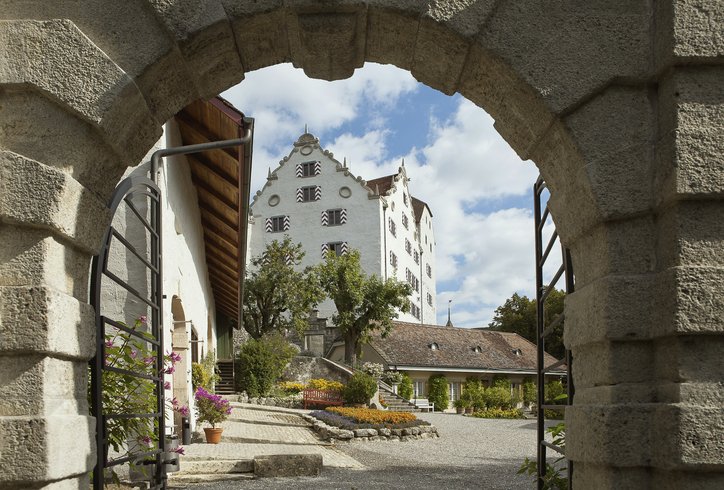 Blick aus dem geöffneten Tor zu der Schlossdomäne Wildegg 