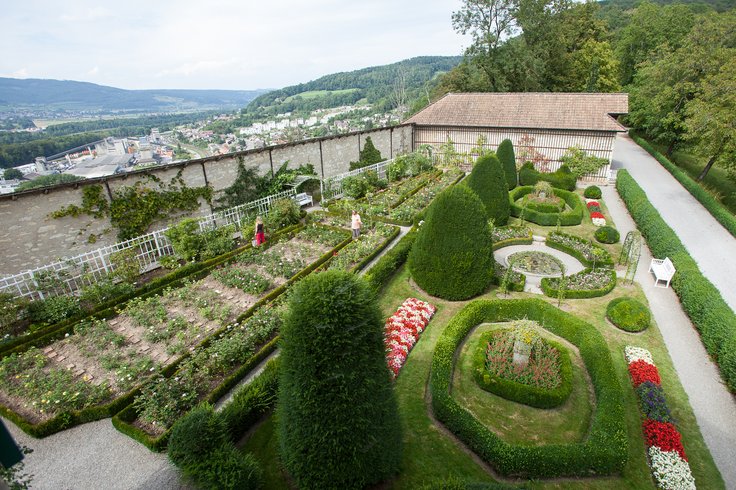 Der Rosengarten von Schloss Wildegg mit blühenden Blumen