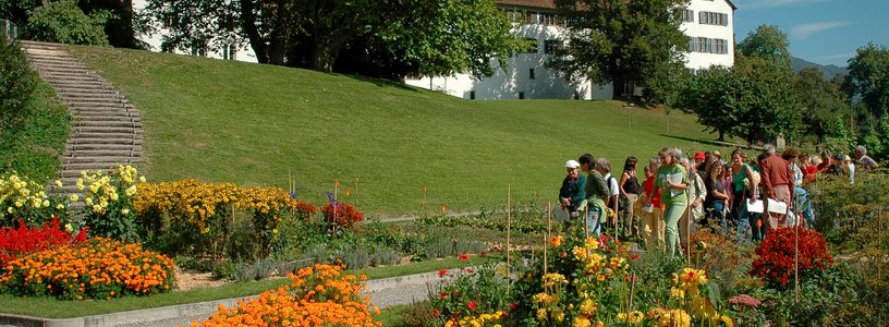 Farbenfrohe Aufnahme des Englischen Gartens auf der Klosterhalbinsel Wettingen. Auf dem Kiesweg nähert sich eine Besuchergruppe. Dahinter ist das Kloster Wettingen zu sehen.