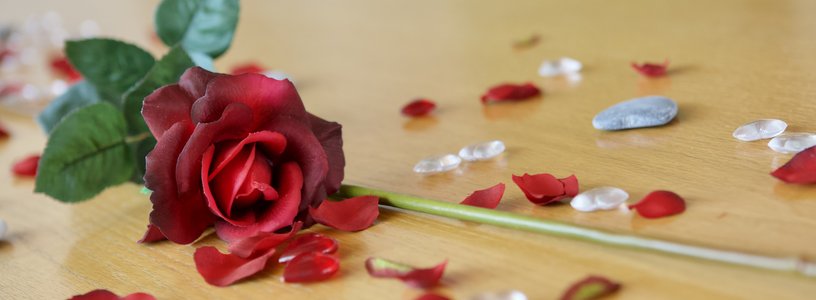 Eine Rose mit Blättern, Steinen und weiteren Dekorationen liegt auf einem Tisch; dies als Zeichen für Hochzeit und Trauung.