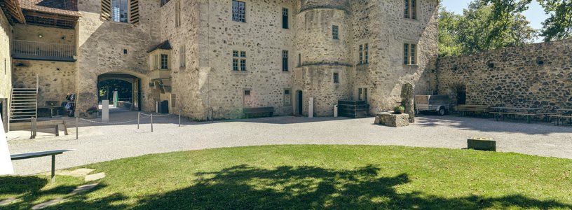 Grünbewachsener Schlosshof Schloss Hallwyl