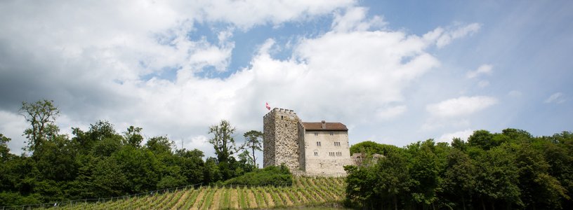 Aussenaufnahme mit mächtigen Wolken über Schloss Habsburg